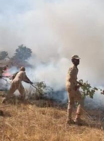 صورة كيفه : الجيش يخمد حريقا كبيرة  شب في منطقة ميلي  يبعد 11كلم من تناها