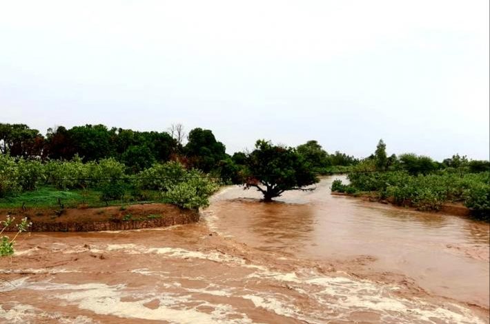 صورة كيفه : تجاوز المجاميع المطرية المسجلة الآن نسب العام الماضي